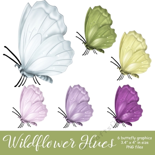 Wildflower Hues - Butterfly Graphics
