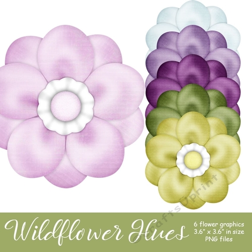Wildflower Hues - Flower Graphics