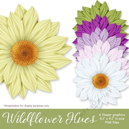 Wildflower Hues - Daisy Flower Graphics