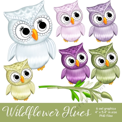 Wildflower Hues - Owl Graphics