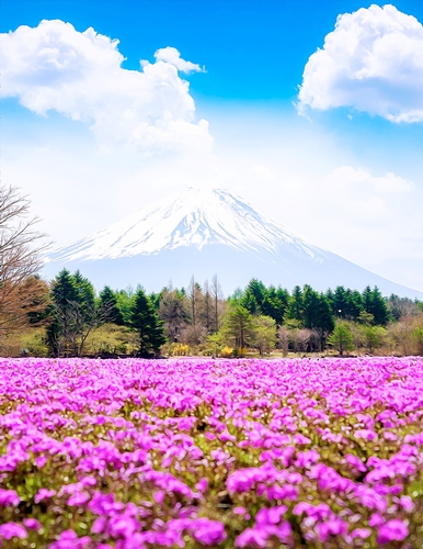 Mount Fuji & Pink Flowers - A4 size Oil Painting Style Background