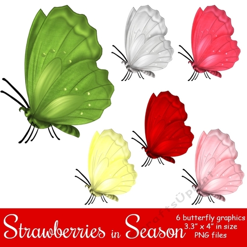 Strawberries in Season - Butterfly Graphics