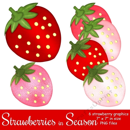 Strawberries in Season - Strawberry Graphics