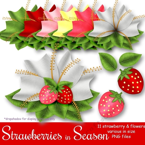 Strawberries in Season - Unique Flowers & Strawberries