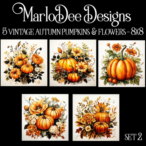 Vintage Style Autumn Pumpkins and Flowers 8x8 Backgrounds - set 2