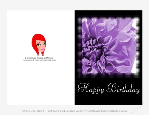 Purple Carnation Flower 5x7 Happy Birthday Greeting Card {CU OK}