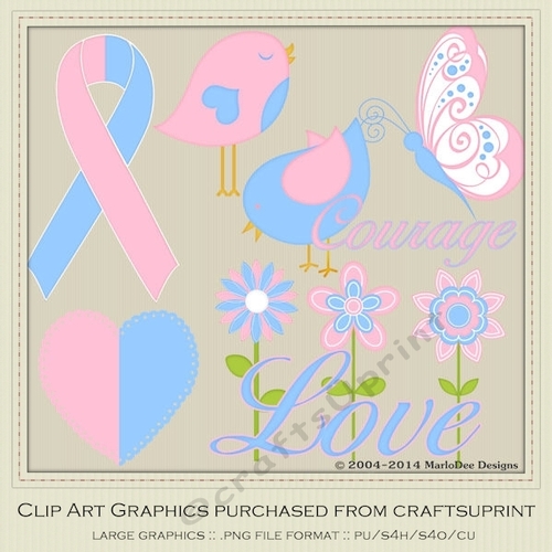 Pink & Blue Awareness Ribbon & Graphics 