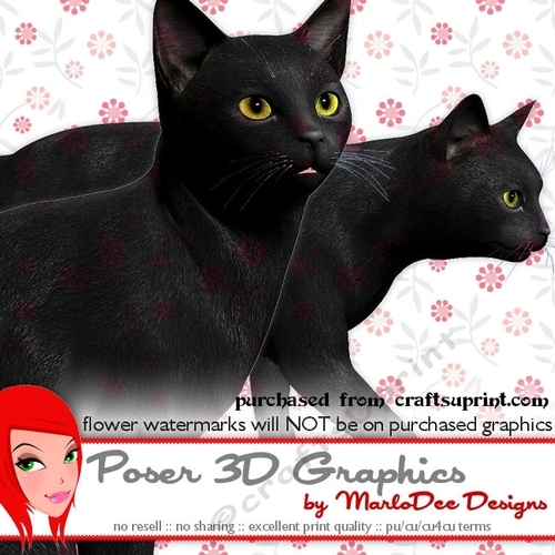 Black Cat Poser Graphics