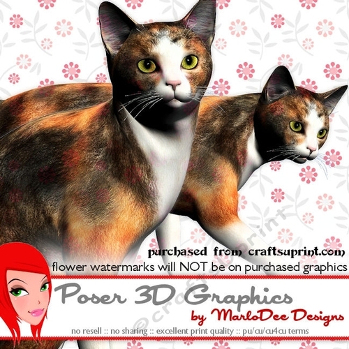 Calico Cat Poser Graphics