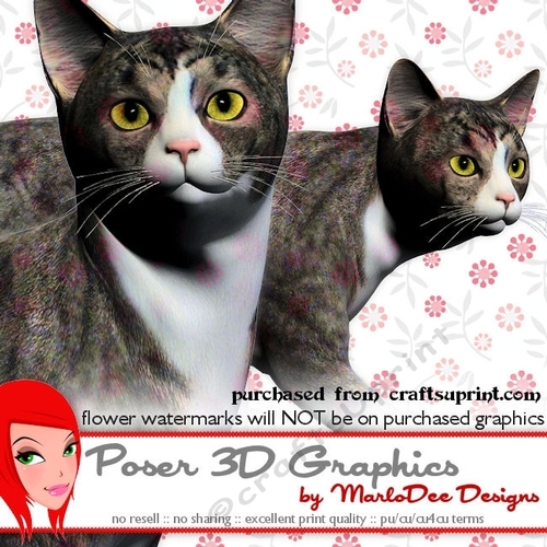 Grey Tabby Cat Poser Graphics