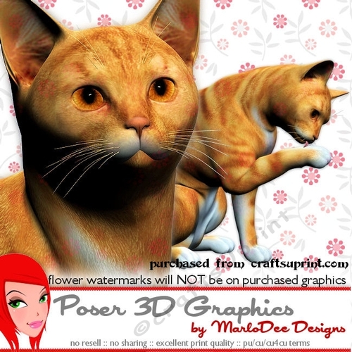 Red Tabby Cat Poser Graphics