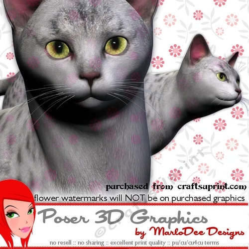 Silver Mau Cat Poser Graphics