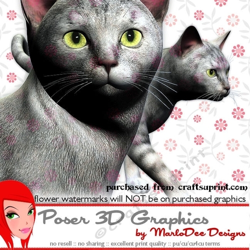Silver Tabby Cat Poser Graphics