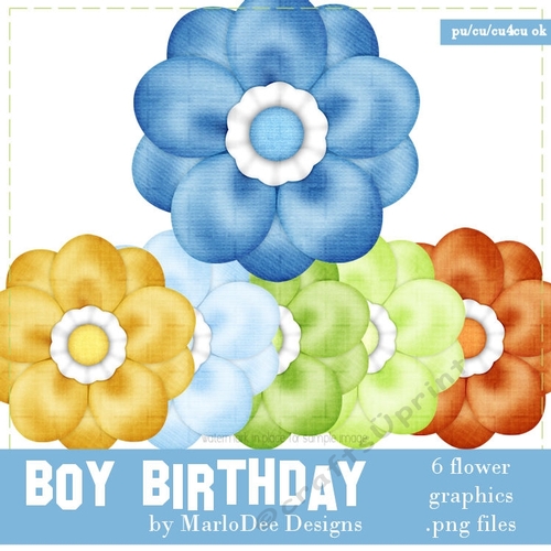 Boys Birthday Colors Digital Flowers pkg 1