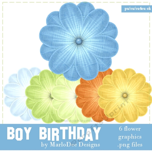 Boys Birthday Colors Digital Flowers pkg 2
