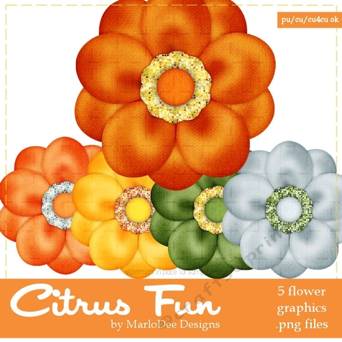 Citrus Fun Colors Flowers pkg1