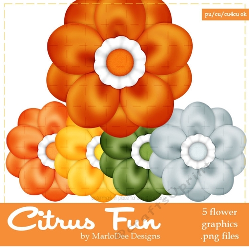 Citrus Fun Colors Flowers pkg2