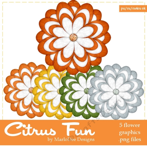 Citrus Fun Colors Flowers pkg3