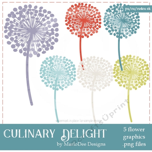 Culinary Delight - Dandelion Flower Graphics