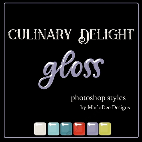 Culinary Delight Gloss Photoshop Style