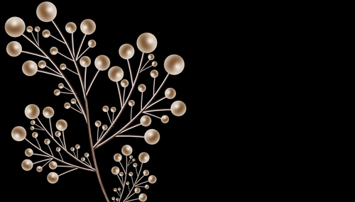 Black with Unique Cream Ball Floral Style Background
