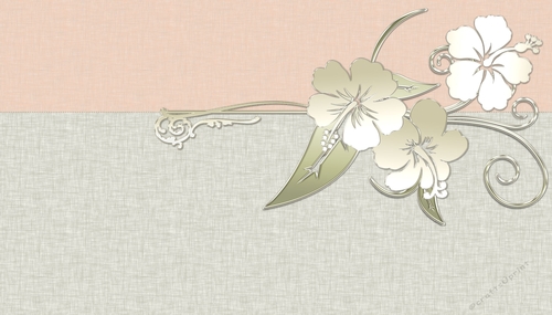 Golden Hibiscus Flowers on Peach & Tan Background