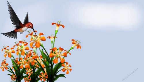 Hummingbird with Orange Flowes on Sunny Day Themed Background d1
