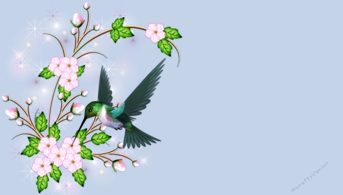 Hummingbird with Pink Flowes on Sunny Day Themed Background