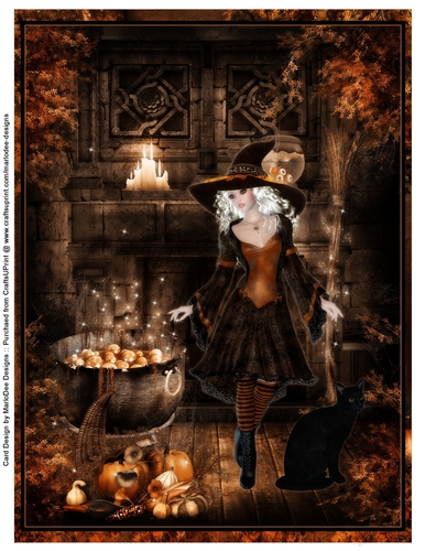 Fantasy Pretty Halloween Witch with Black Cat A4 Topper