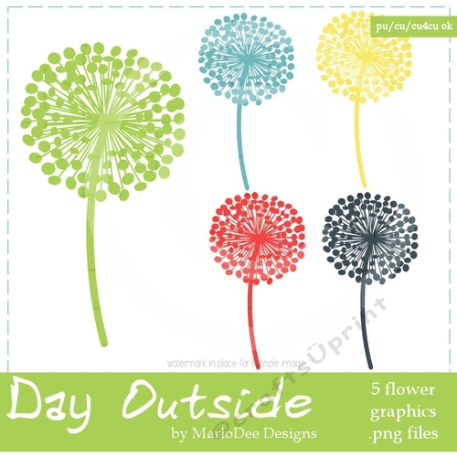 Day Outside - Dandelion Flowers 