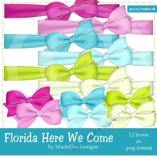 Florida Here We Come Colors - Bow Graphics