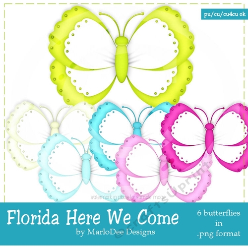 Florida Here We Come Colors - Butterfly Graphics pkg 1