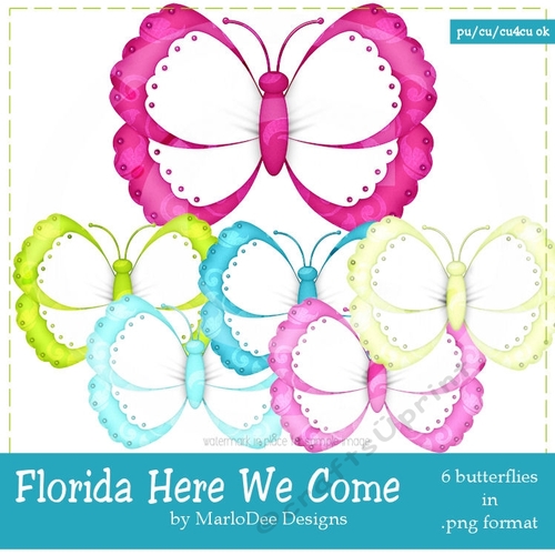 Florida Here We Come Colors - Butterfly Graphics pkg 2