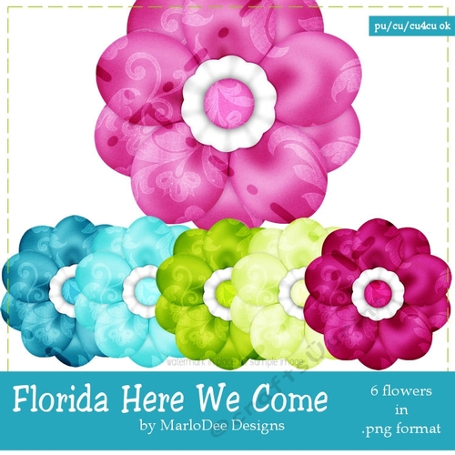 Florida Here We Come Colors - Flower Graphics pkg 1