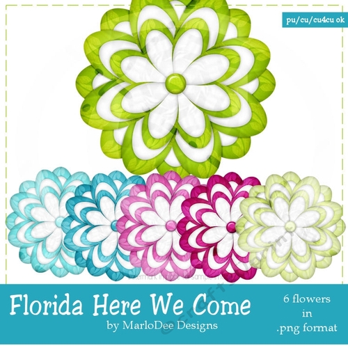 Florida Here We Come Colors - Flower Graphics pkg 3