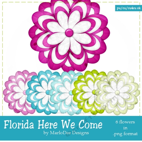 Florida Here We Come Colors - Flower Graphics pkg 4