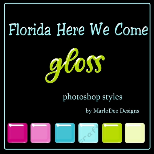 Florida Here We Come Colors Gloss Photoshop Styles