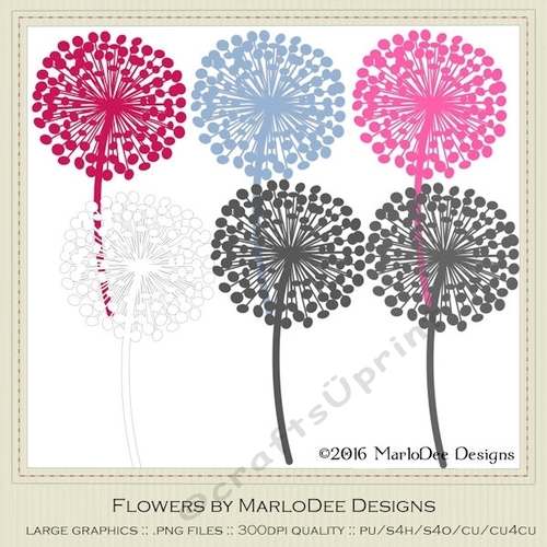 Girly Chic Colors Dandelion Flowers 