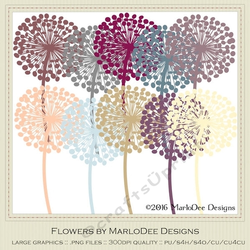 Healthy Lifestyle Colors Dandelion Flowers 