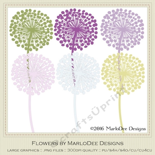 Spring Colors 4 Dandelion Flowers