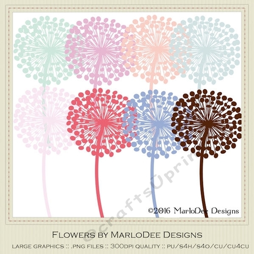 Spring Colors 5 Dandlelion Flowers 
