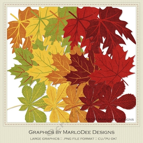 Fall Colors Leaves - FS1