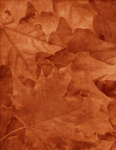 Fall Season Burnt Orange Color Leaves Pattern Background {BT}
