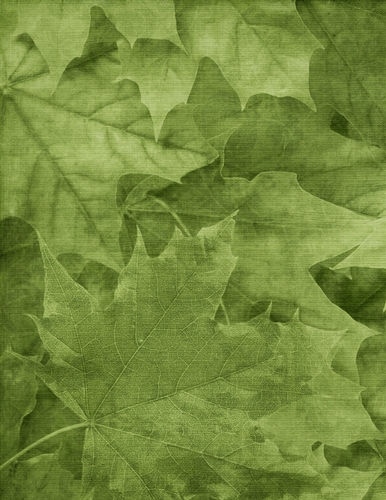 Fall Season Green Color Leaves Pattern Background {BT}