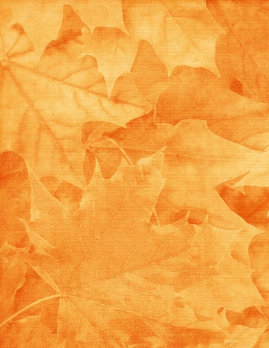 Fall Season Golden Color Leaves Pattern Background {BT}