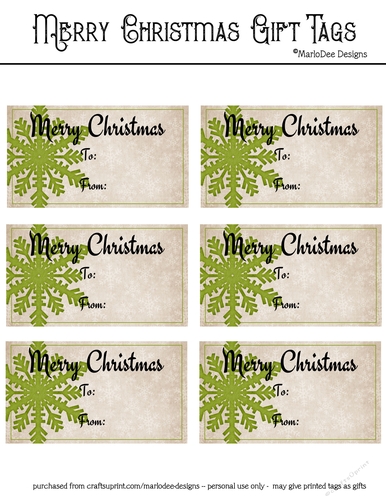 Merry Christmas Gift Tags - Light Green Snowflake 