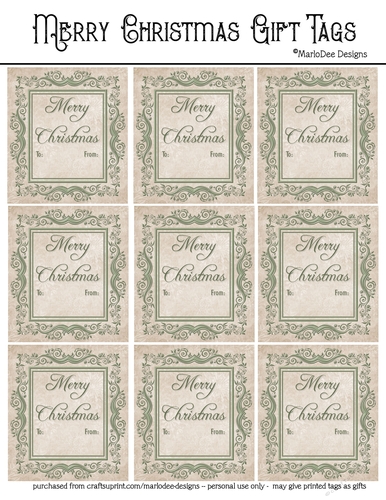 Merry Christmas Gift Tags - Elegant Light Green Frame Design
