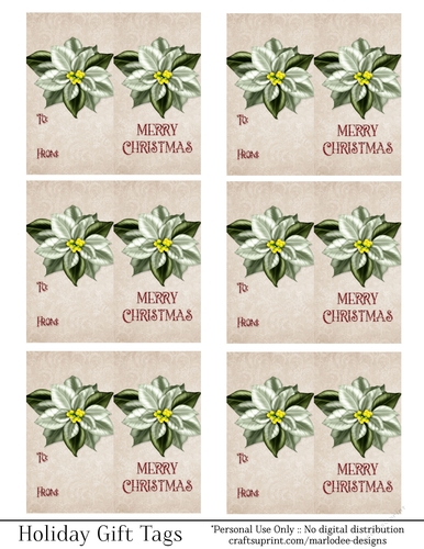 Merry Christmas Gift Tags - Light Green Poinsettia Flower - Folding Design