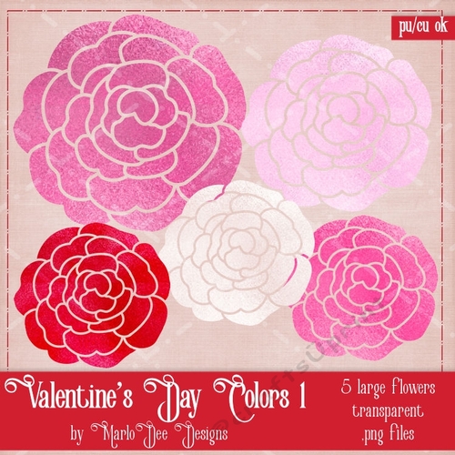 Valentines Day Colors 1 - Flowers Package 2
