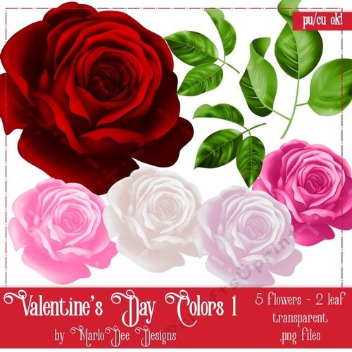 Valentines Day Colors 1 - Roses Floral Package 1